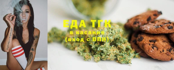 крисы Аркадак